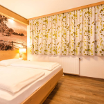 Appartementen Grüner Baum